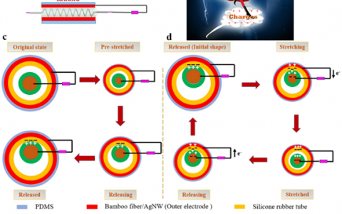 东华大学Nano Energy: 自供能“如意金箍棒”作为主动式运动传感器
