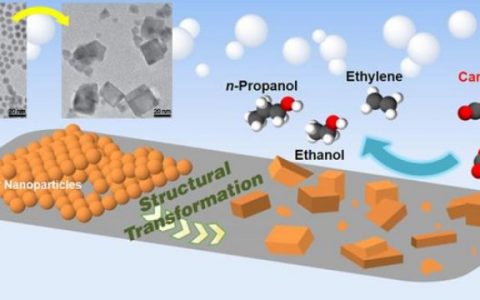 二氧化碳高效转化为燃料——电催化剂对纳米粒子的关键作用