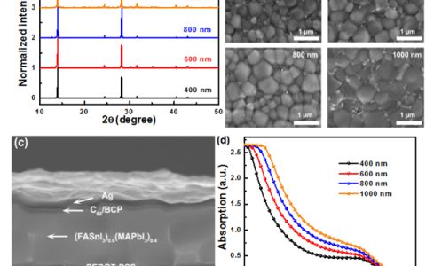Adv. Funct. Mater.：基于窄带隙钙钛矿的宽响应光电探测器