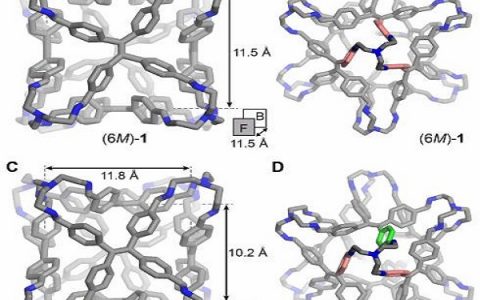 厦门大学化学化工学院：可控分子组装研究再次取得重要进展
