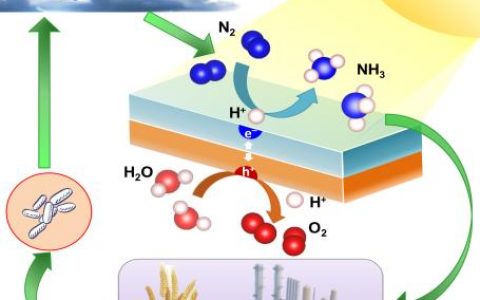 武汉理工大学Materials Horizons综述：半导体光催化固氮合成氨