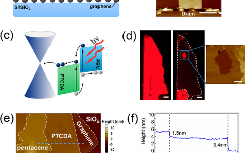 南京大学王欣然Nano lett.:异质结吸光层优化石墨烯光电晶体管
