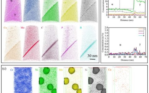 南京理工大学Acta Mater.:双相不锈钢中铁素体相内的非均匀相分离