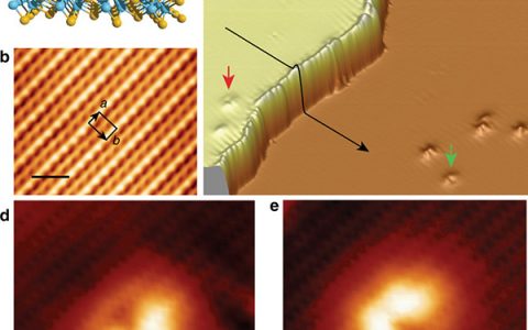 Nature Communications. :WTe2台阶处拓扑边界态观测