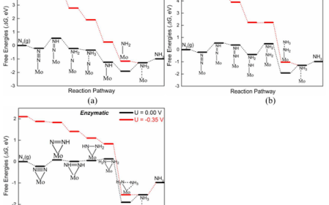JACS：高性能单原子钼催化剂用于氮还原合成氨