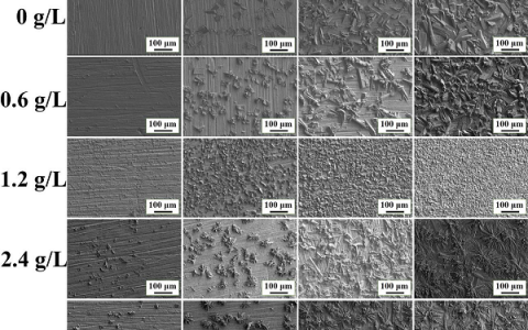 华南理工大学张心亚Corros. Sci.：氧化石墨烯在磷酸锌涂层上的妙用