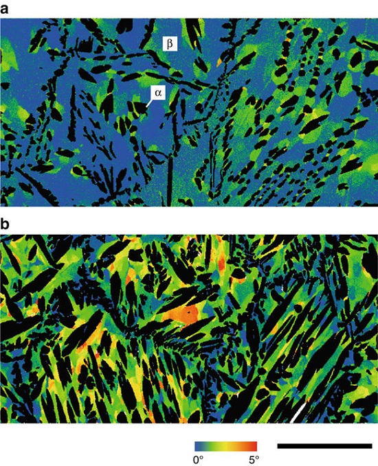 Nature 子刊:晶粒异常长大制备超大单晶