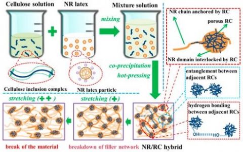 Macromolecules:利用碱-尿素水溶液原位再生纤维素增强天然橡胶