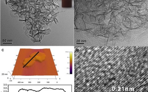 郑南峰Science Advances：超稳定原子级铜纳米片选择性电化学还原二氧化碳