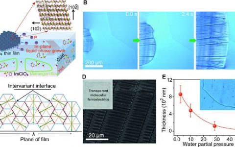 Sci. Adv.: 透明铁电体分子的可调电阻效应与电光效应