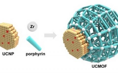 J. Am. Chem. Soc.：上转换纳米颗粒和金属有机框架构成的异源二聚体