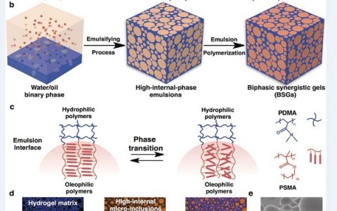 北航刘明杰Angew. Chem. Int. Ed.：具备可变换机械性能和自愈合能力的双相协同凝胶材料