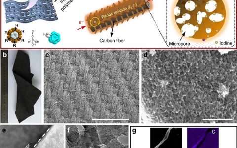 Nat. Commun.：可充碘-碳电池实现离子插层与氧化还原机制的统一