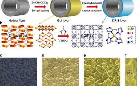 暨大&浙工大Nature子刊: 凝胶-气相沉积法制备超薄金属有机骨架分离膜