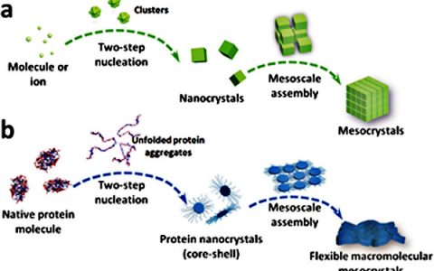 Angew. Chem. Int. Ed.: 挑战经典！首次生物大分子柔性二维介晶合成