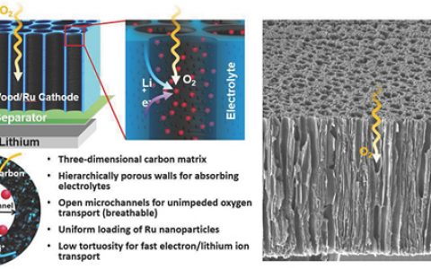 马里兰大学胡良兵Adv. Energy. Mater：“会呼吸的木头”成就高性能锂氧电池