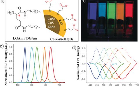 Angew. Chem. Int. Ed.:自组装发光量子点构筑全色白光圆偏振光