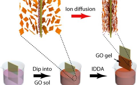 ACS Nano: 离子扩散定向装配多层氧化石墨烯涂层