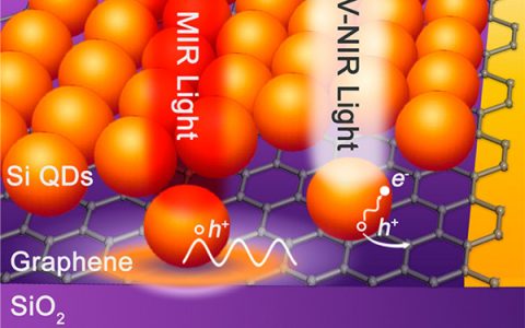 浙江大学ACS Nano：基于具有等离激元效应的掺杂硅量子点和石墨烯杂化结构的超宽光谱高灵敏光电探测器