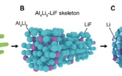 崔屹最新Science Advances：过锂化介孔AlF­3框架构建用于高电流密度的金属锂电池负极
