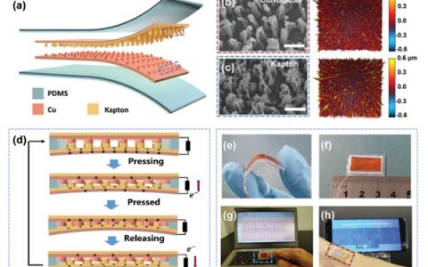 Adv. Mater.：诊断心血管疾病的自驱动脉博传感器
