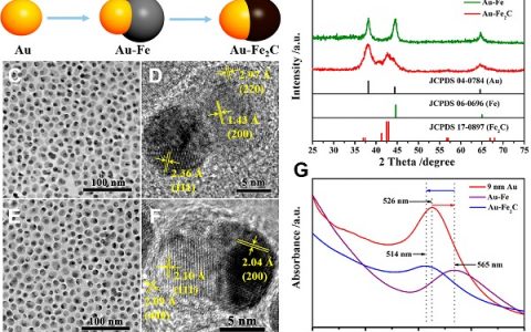 ACS Nano: 单分散Au−Fe2C异质纳米颗粒用于三模式成像引导肿瘤光热治疗