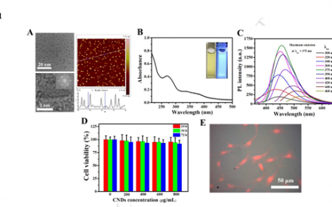 哈工大李保强副教授：基于纳米碳点实时无创可视化监测生物材料体内降解研究取得突破