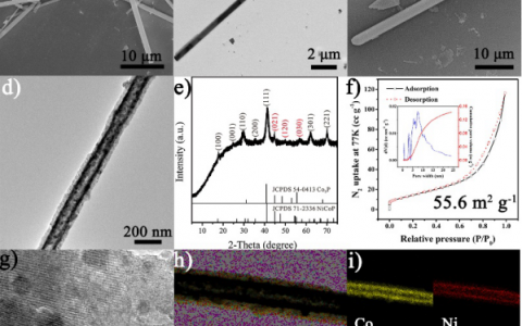 中国石油大学（华东）赵学波团队Adv. Funct. Mater.：双金属MOF-74为前驱体制备Co-Ni-P纳米管高效电解水催化剂