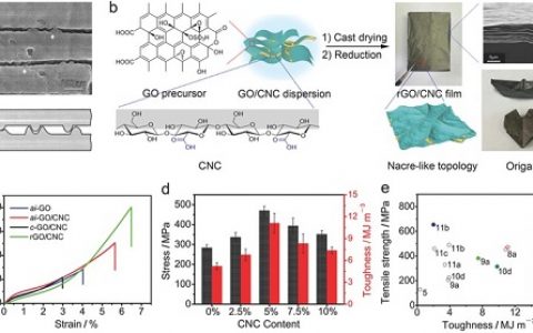 Adv. Mater.：超高导电石墨烯薄膜的拓扑设计