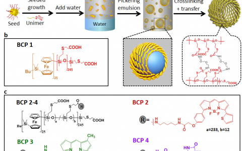 可“活性”生长的高层级自组装仿生微囊