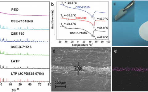 北京大学深圳研究生院潘锋教授Adv. Energy Mater,: 柔性电解质膜在固态锂离子电池中的应用和制备