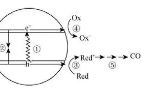 无所不在的现代催化科学技术：看我们的室内空气是如何被催化净化的