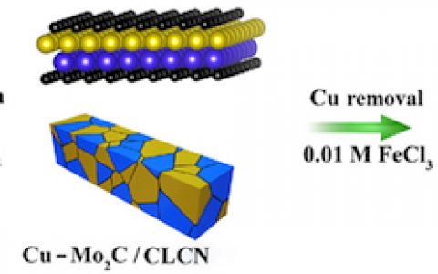 陈少伟&周伟家Nano Energy：分级结构石墨烯多孔微米棒负载Mo2C用作高效析氢电催化剂