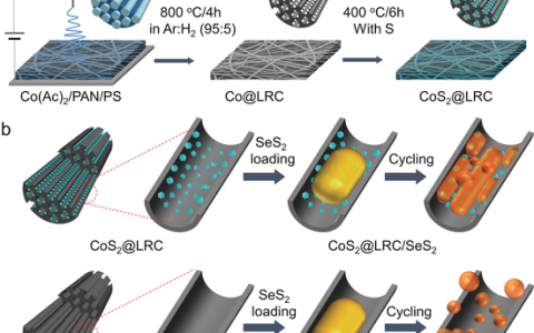 楼雄文Angew.Chem. Int. Ed.：基于CoS2修饰多通道碳纤维的自支撑SeS2正极用于提高锂存储性能