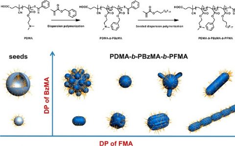 Macromolecules：在聚合物诱导自组装过程中用含氟液晶调控的聚合组装体的形态演变