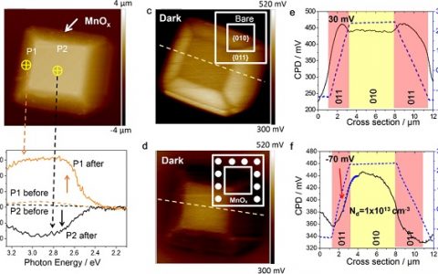 大连化物所Nano Lett.：纳米助催化剂调节光催化剂电场的可视化