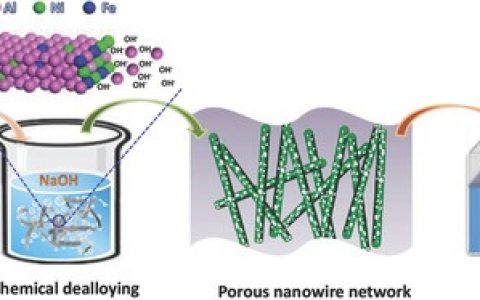 Adv. Energy Mater：基于共晶的介孔Ni-Fe-O纳米线网络用于催化产氧和全水解