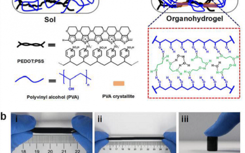 Angew. Chem. Int. Ed.：在零度下具有稳定的应变敏感性的抗冻、导电自愈油水凝胶