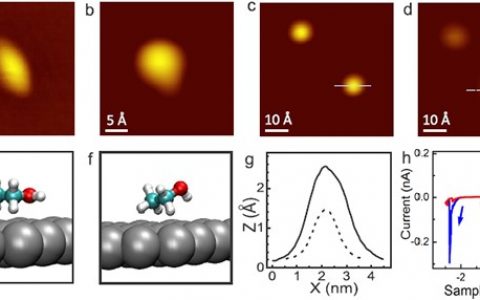 ACS Nano.：在石墨表面通过电荷状态和氢键来稳定超分子马达
