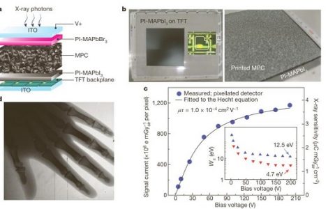 小长假Nature不能停：担心CT辐射多？三星教你用钙钛矿实现低剂量X射线成像