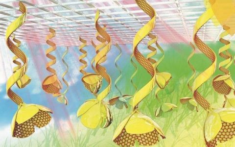 福建师范大学Nanoscale:基于氧化石墨烯复合材料的多刺激响应仿生致动器