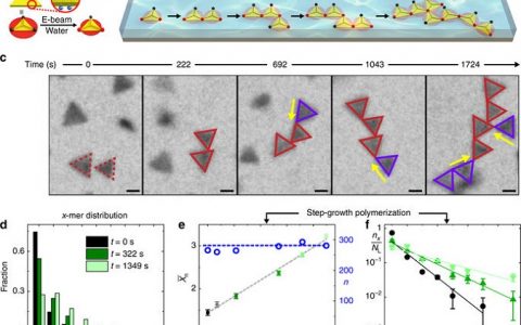 Nat. Commun. “见证”纳米颗粒的自组装过程