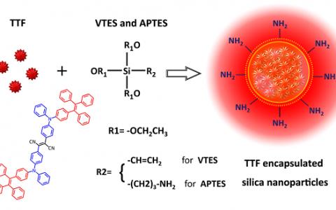 浙江大学钱骏团队Adv. Mater.: AIE材料用于STED超分辨生物成像