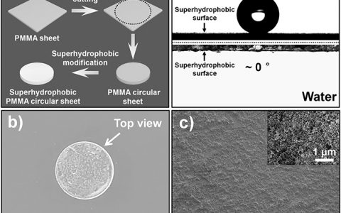 江雷团队Adv. Funct. Mater.：宏观形状调控实现超疏水PMMA表面高效气泡黏附 污水处理显身手