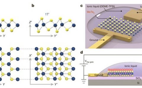华裔科学家Nature新作:静电掺杂驱动单层MoTe2结构相变