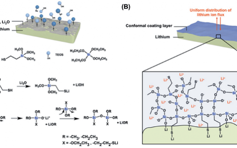 Adv. Energy Mater.:一种简单的气相沉积方法制备杂化硅酸盐涂料用于锂金属负极