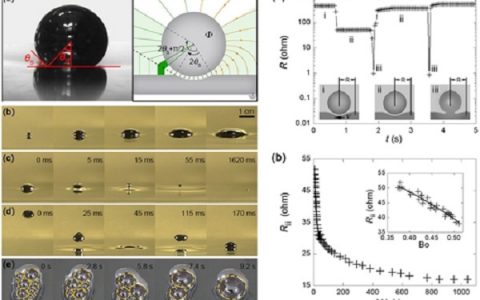 中国科学院理化所&清华大学研究组：发现液态金属冲浪效应及颗粒驱动示踪效应