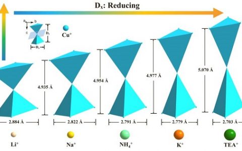 福建物构所洪茂椿课题组：新型荧光可调阴离子铜研究取得进展