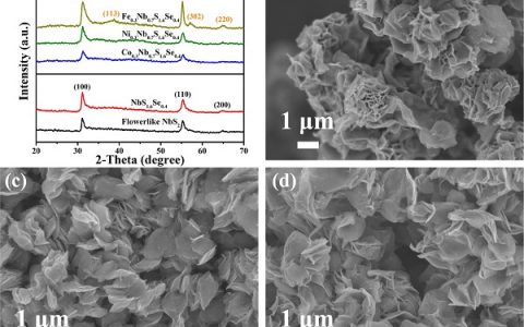 ACS Nano：M/Se (M = Fe, Co, Ni) 掺杂NbS2纳米片存储Li+ 和Na+