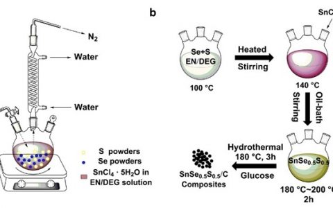 哈工大（深圳）/威斯康辛大学Nano Energy:层状SnSe0.5S0.5作为高性能锂/钠离子电池负极材料